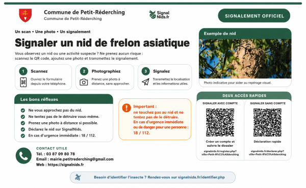 Image de Lutte contre le frelon asiatique